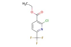eMolecules​ 1214346-14-1 | Pharmablock | ethyl 2-chloro-6-(trifluoromethyl)pyridine-3-carboxylate