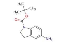 eMolecules​ 129487-92-9 | Pharmablock | tert-butyl 5-amino-23-dihydro-1H-indole-1-carboxylate