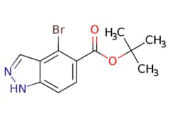 eMolecules​ Pharmablock / tert-butyl 4-bromo-1H-indazole-5-carboxylate