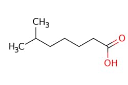 eMolecules​&nbsp;Pharmablock / 6-methylheptanoic acid / 50mg / 686936078 / PBU7016 / 0.000 / 929-10-2 / MFCD00044083 / 144.214 / C8H16O2