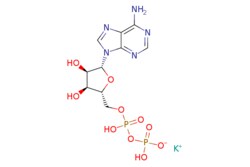 eMolecules​ 70285-70-0 | Ambeed | ((2R3S4R5R)-5-(6-Amino-9H-purin-9-yl)-34-dihydroxytetrahydrofuran-2-yl)methyl