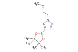 eMolecules​ Pharmablock / 1-(2-methoxyethyl)-4-(tetramethyl-132-dioxaborolan-2-yl)-1H-pyrazole