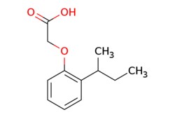 eMolecules​&nbsp;Ambeed / 2-(2-(sec-Butyl)phenoxy)acetic acid / 1g / 600850172 / A946424 /  / 76343-98-1 / MFCD00268165 / 208.257 / C12H16O3