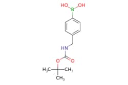 eMolecules​ 489446-42-6 | Ambeed | (4-(((tert-Butoxycarbonyl)amino)methyl)phenyl)boronic