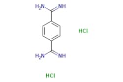 eMolecules​ 14401-56-0 | Ambeed | Terephthalimidamide dihydrochloride |