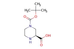 eMolecules​&nbsp;Pharmablock / (2S)-4-tert-butoxycarbonylpiperazine-2-carboxylic acid / 250mg / 560609497 / PBN20121939 / 0.000 / 848482-93-9 / MFCD02179098 / 230.264 / C10H18N2O4