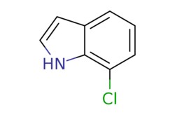 eMolecules​ Pharmablock / 7-chloro-1H-indole / 100mg / 552387645 / PBLJ2165