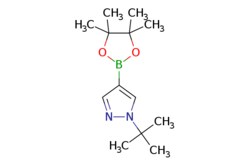 eMolecules​&nbsp;Pharmablock / 1-tert-butyl-4-(tetramethyl-132-dioxaborolan-2-yl)-1H-pyrazole / 100mg / 551327125 / PBLJ2794 / 0.000 / 1256359-15-5 / MFCD16660302 / 250.150 / C13H23BN2O2
