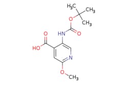eMolecules​ Pharmablock / 5-[(tert-butoxy)carbonyl]amino-2-methoxypyridine-4-carboxylic
