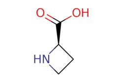 eMolecules​ Pharmablock / (2R)-azetidine-2-carboxylic acid / 50mg / 551171104