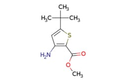 eMolecules​ Pharmablock / methyl 3-amino-5-tert-butylthiophene-2-carboxylate