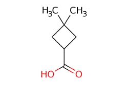 eMolecules​&nbsp;Pharmablock / 33-dimethylcyclobutane-1-carboxylic acid / 25mg / 551139521 / PBN20121266 / 0.000 / 34970-18-8 / MFCD01734205 / 128.171 / C7H12O2