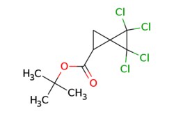 eMolecules​ Pharmablock / tert-butyl 4455-tetrachlorospiro[2.2]pentane-1-carboxylate