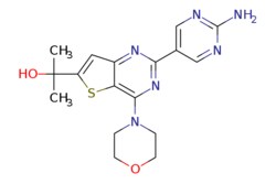 eMolecules​ 1033735-94-2 | Ambeed | 2-(2-(2-Aminopyrimidin-5-yl)-4-morpholinothieno[32-d]pyrimidin-6-yl)propan-2-ol