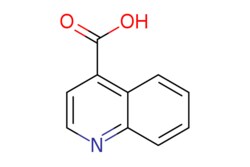 eMolecules​&nbsp;Ambeed / Quinoline-4-carboxylic acid / 1g / 525240923 / A820464 /  / 486-74-8 / MFCD00006782 / 173.171 / C10H7NO2