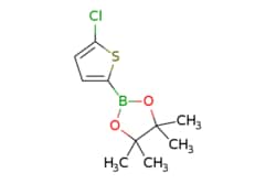 eMolecules​ 635305-24-7 | Ambeed | 2-(5-Chlorothiophen-2-yl)-4455-tetramethyl-132-dioxaborolane