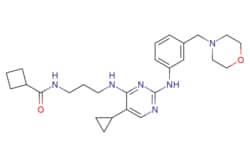 eMolecules​ 1190378-57-4 | Ambeed | N-(3-((5-Cyclopropyl-2-((3-(morpholinomethyl)phenyl)amino)pyrimidin-4-yl)amino)propyl)cyclobutanecarboxamide