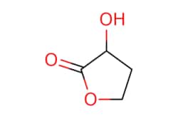 eMolecules​&nbsp;Ambeed / 3-Hydroxydihydrofuran-2(3H)-one / 1g / 525145111 / A237190 /  / 19444-84-9 / MFCD00134268 / 102.089 / C4H6O3