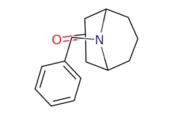 eMolecules​&nbsp;Ambeed / 9-Benzyl-9-azabicyclo[3.3.1]nonan-3-one / 1g / 525104168 / A186693 /  / 2291-58-9 / [null] / 229.323 / C15H19NO