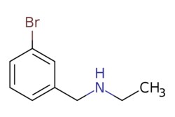 eMolecules​&nbsp;Ambeed / N-Ethyl-3-bromobenzylamine / 1g / 491677907 / A683057 /  / 90389-91-6 / MFCD07405019 / 214.106 / C9H12BrN