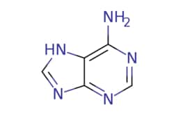 eMolecules​&nbsp;AstaTech / 7H-PURIN-6-AMINE / 5g / 112533187 / BL008313 / 95.000 / 73-24-5 / MFCD00005577 / 135.130 / C5H5N5