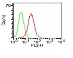 Biotium CD34(ICO-115), 0.2mg/mL, Quantity: Each of 1