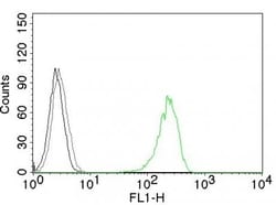 Biotium CD71(DF1513), CF594 conjugate, 0.1mg/mL, Quantity: Each of 1
