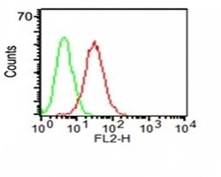 Biotium&nbsp;CD34ICO-115 CF594 conjugate 0.1mgmL