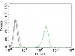 Biotium&nbsp;CD71DF1513 CF488A conjugate 0.1mgmL