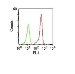 Biotium&nbsp;CD46122.2 CF488A conjugate 0.1mgmL