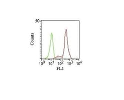 Biotium CD11c(HC1/1), CF568 conjugate, 0.1mg/mL, Quantity: Each of 1