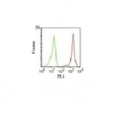 Biotium&nbsp;CD11a(Cris-3), CF568 conjugate, 0.1mg/mL