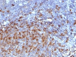 Biotium&nbsp;Human IgG Immunoglobulin(IG266), CF647 conjugate, 0.1mg/mL