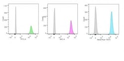 Biotium p55;50 EBV-Early Antigen(1108-1), CF647 conjugate, 0.1mg/mL, Quantity: