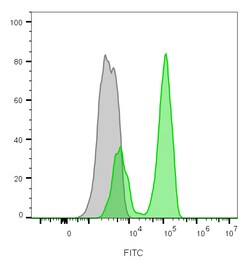 Biotium&nbsp;CD3e(CRIS-7), CF405S conjugate, 0.1mg/mL