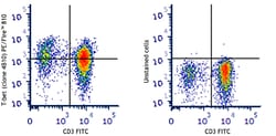 Biolegend PE/Fire 810 anti-T-bet [4B10]; Isotype: Mouse IgG1, κ; Reactivity: