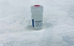Biomatik Corporation Recombinant Human Gastric inhibitory polypeptide receptor