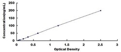 Biomatik Corporation Human Mesothelin (MSLN) Anti-antigen ELISA Kit, Quantity:
