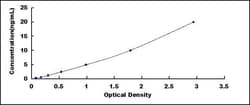Biomatik Corporation Rat Opioid Growth Factor Receptor (OGFR) ELISA Kit,