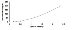 Biomatik Corporation Human Tissue Factor Pathway Inhibitor (TFPI) Wide-range