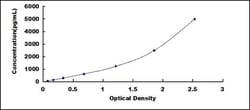 Biomatik Corporation Mouse Synapsin II (SYN2) ELISA Kit, Quantity: Each