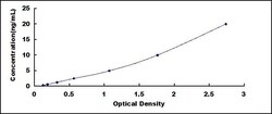 Biomatik Corporation Rat Leptin (LEP) Mini sample ELISA Kit, Quantity: