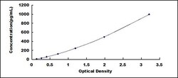 Biomatik Corporation Rat Interleukin 23 Subunit Alpha (IL23a) Mini sample