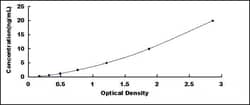 Biomatik Corporation Human Crystallin Beta B2 (CRYbB2) ELISA Kit, Quantity: