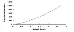 Biomatik Corporation Rabbit Cluster Of Differentiation 40 Ligand (CD40L)