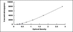 Biomatik Corporation Human Adenosine Monophosphate Deaminase 2 (AMPD2)