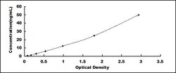 Biomatik Corporation Human Amyloid Precursor Protein (APP) Wide-range ELISA