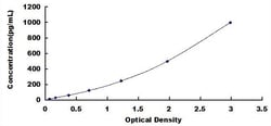 Biomatik Corporation Rat Stromal Cell Derived Factor 1 (SDF1) High-sensitive