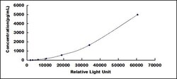 Biomatik Corporation Human Angiopoietin 2 (ANGPT2) CLIA Kit, Quantity: