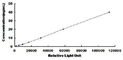 Biomatik Corporation Human Pim-2 Oncogene (PIM2) CLIA Kit, Quantity: Each